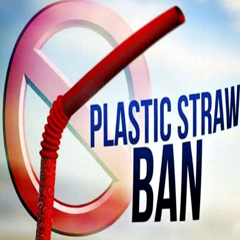 Cosa sostituire dopo che la cannuccia di plastica è vietata?